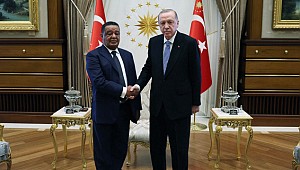 Erdoğan, eski Etiyopya Cumhurbaşkanı Wirtu'yu kabul etti