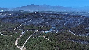 Yanan orman alanının havadan görüntüleri