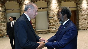 Cumhurbaşkanı Recep Tayyip Erdoğan, Somali Cumhurbaşkanı Mahmud ile bir araya geldi