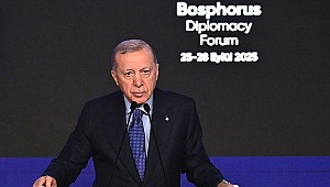 Erdoğan: İsrail durdurulmadan Filistin Devleti için konulan irade eksik kalacaktır
