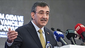 Cumhurbaşkanı Yardımcısı Cevdet Yılmaz: Cumhurbaşkanımızın talimatlarıyla hükümet içinde bir 'su komisyonu' oluşturduk