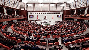 Çocuk Suçlarında 